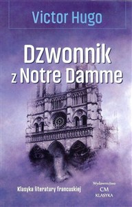 Obrazek Dzwonnik z Notre Damme