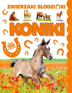 Obrazek Koniki
