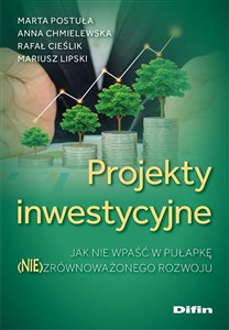 Obrazek Projekty inwestycyjne Jak nie wpaść w pułapkę (nie)zrównoważonego rozwoju