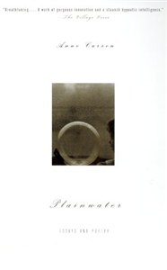 Obrazek Plainwater: Essays and Poetry