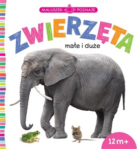 Picture of Maluszek poznaje Zwierzęta małe i duże