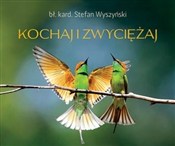 Perełka 23... - Opracowanie Zbiorowe - Ksiegarnia w UK