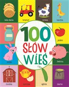 Książka : 100 słów. ...