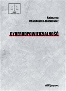 Obrazek Cyberodpowiedzialność