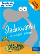 Śladowanki... - Wiesława Żaba-Żabińska, Krystyna Kamińska -  books in polish 