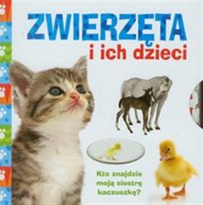 Picture of Zwierzęta i ich dzieci Kto znajdzie moją siostrę kaczuszkę?