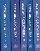 polish book : Anatomia c... - Adam Bochenek, Michał Reicher