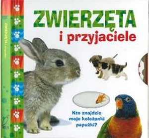 Picture of Zwierzęta i przyjaciele Kto znajdzie moje koleżanki papużki?