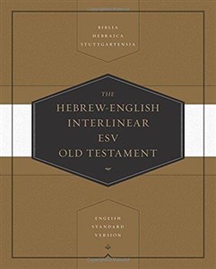 Picture of The HebrewĂ˘â‚¬â€English interlinear ESV Old Testament