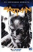 Batman Vol... - Tom King, David Finch -  Polish Bookstore 