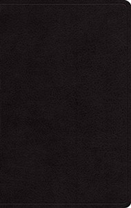Picture of ESV Large Print Personal Size Bible (Black)
