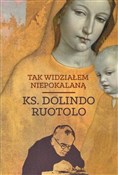 Książka : Tak widzia... - Dolindo Ruotolo