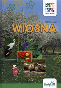 Picture of Pory roku Wiosna