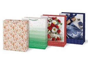 Obrazek Torebka na prezent T 330x455x100