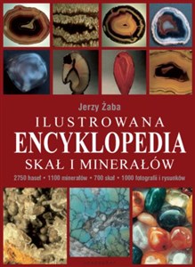 Obrazek Ilustrowana encyklopedia skał i minerałów