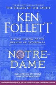 Picture of Notre-Dame A Short History of the Meaning of Cathedrals