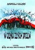 Książka : [Audiobook... - Andrzej Kalinin