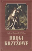 Polska książka : Drogi krzy... - Andrzej Dredziuk