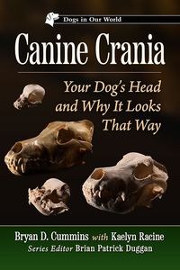 Obrazek Canine Crania Your Dog’s Head and Why It Looks That Way