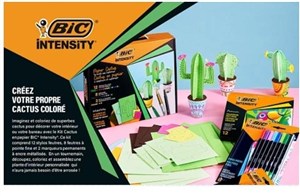 Obrazek Zestaw Intensity Paper Cactus BIC