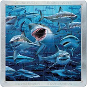 Picture of Puzzle Rekiny 3D 64 elementy