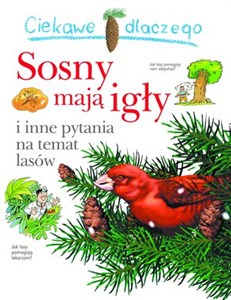 Obrazek Ciekawe dlaczego Sosny mają igły i inne pytania na temat lasów