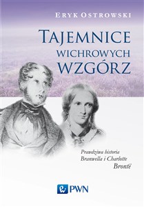 Obrazek Tajemnice wichrowych wzgórz Prawdziwa historia Branwella i Charlotte Brontë