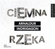 polish book : Ciemna rze... - Arnaldur Indridason