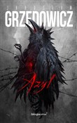 Polska książka : Azyl - Jarosław Grzędowicz