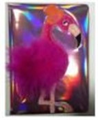 Książka : Notatnik A...