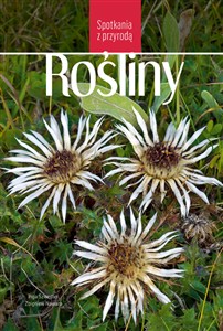 Obrazek Rośliny Spotkania z przyrodą
