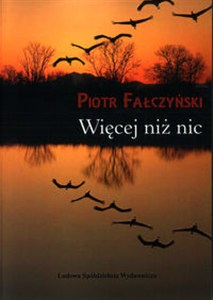 Picture of Więcej niż nic