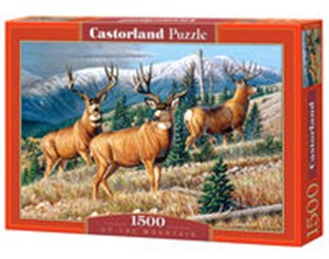 Picture of Puzzle Up the Mountain 1500