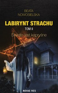Obrazek Labirynt strachu Tom 2 Światło jest kapryśne