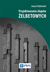 Obrazek Projektowanie słupów żelbetowych