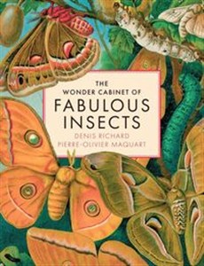 Obrazek Wonder Cabinet of Fabulous Insects