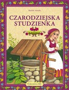 polish book : Czarodziej... - Mariola Jarocka