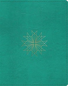 Obrazek ESV Single Column Journaling Bible