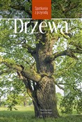 polish book : Drzewa Spo... - Mark Bachofer, Joachim Mayer
