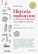 polish book : Historia m... - Luca Cesari