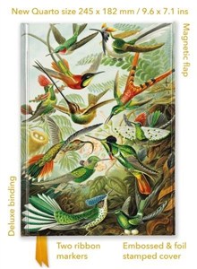 Obrazek Notatnik quatro linia TW Kolibry Ernst Haeckel