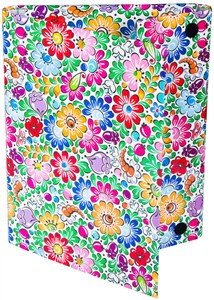 Picture of Teczka skrzydłowa fol opolska