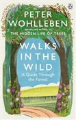 Zobacz : Walks in t... - Peter Wohlleben