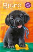 Bruno tęsk... - Agnieszka Stelmaszczyk -  Książka z wysyłką do UK