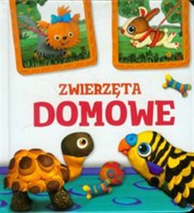 Picture of Zwierzęta domowe Modelinki