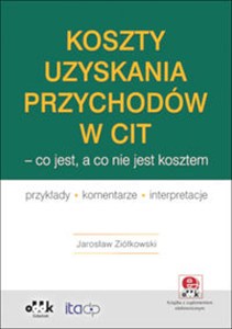 Obrazek Koszty uzyskania przychodów w CIT co jest a co nie PGK1319e