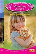 Słoneczny ... - Patricia Vandenberg -  books from Poland
