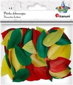 polish book : Piórka pła...