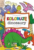 Koloruję d... -  books from Poland