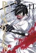 polish book : Plunderer.... - Suu Minazuki